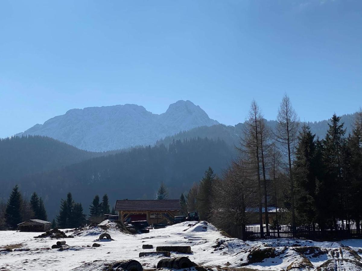 Viva Maria -Sky Moszczak Apartments&Spa Zakopane Eksteriør billede